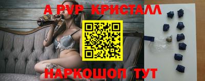 скорость Кингисепп