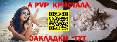 скорость Кингисепп