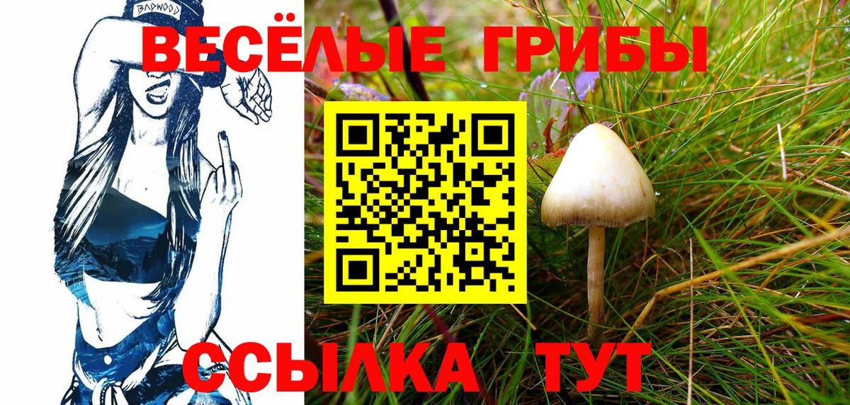 Галлюциногенные грибы ЛСД Биробиджан