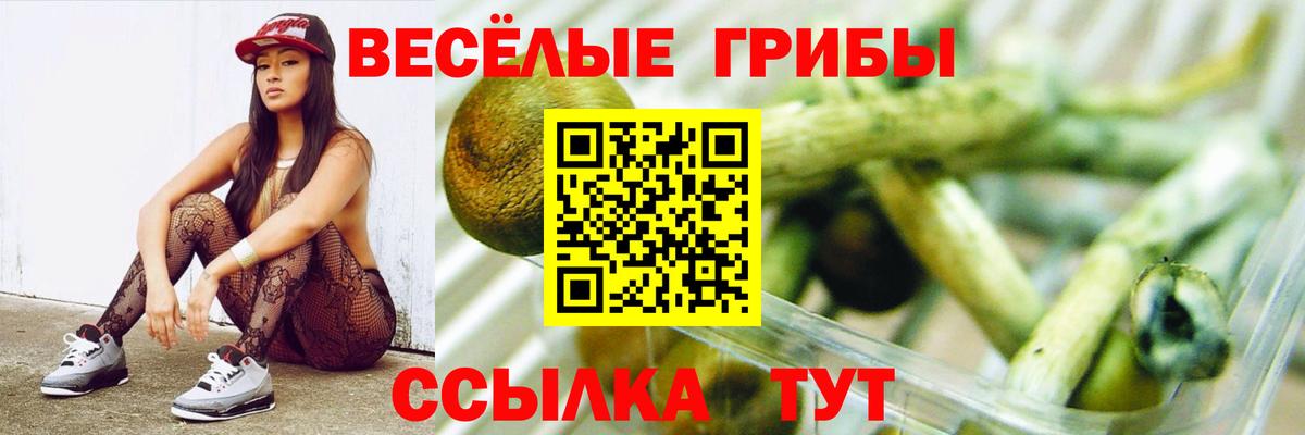Биробиджан  Псилоцибиновые грибы прущие грибы  Вход с VPN 